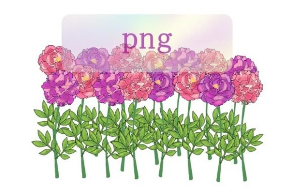 Hydrangea Flower Clip Art: Your Versatile Pink Floral Asset